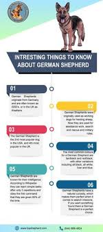 59 Best Talking German Images German Learn German German