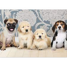 These are the most adorable, prettiest, wonderful and captivating dog pictures. Susser Tier Din A3 Malblock Motiv 4 Hunde Baby Puppies Kartenkaufrausch De