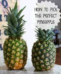Here we explain the best way to cut a whole pineapple into chunks, spears, or rounds. What Is The Best Way To Tell If A Whole Pineapple Is Going Bad Quora