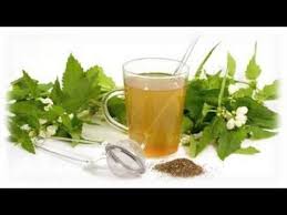 Youtube Infusiones Bebidas Detox Herbologia