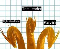 Discover the male celebrities whose name starts with k. Kevin Ghidorah Know Your Meme