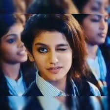 Actress Priya Prakash Varrier welcomes SC decision to stay criminal  proceedings against her - The Economic Times