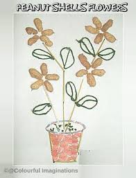 Are peanut shells good for the garden. Colourful Imaginations Flowers Using Peanut Shells