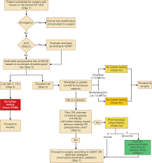 The acute coronary syndromes clinical topic collection gathers the latest guidelines, news, jacc articles, education, meetings and clinical images pertaining to its cardiovascular topical area — all in one place for your convenience. Abbreviations Acs Acute Coronary Syndrome Cabg Coronary Artery Download Scientific Diagram