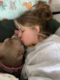 I couldn't read my book earlier because my dogs were playing full body  bitey face