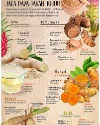 Pin By Gesti Variany On Herbal In 2021 Kunyit Serai Kesehatan