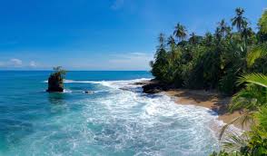 Sadly costa rica's stray dog problem is costa rica is an unbelievably beautiful country with many wonders to explore. Top 9 Places To Visit In Costa Rica The Land Of Pura Vida
