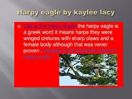 Kaylee (Just For Display) | Names With Meaning, Meant To Be, Names