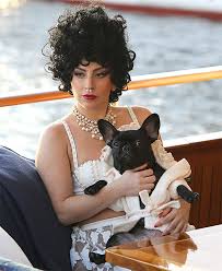 Lady gaga's two french bulldogs koji and gustavo were stolen after her dog walker was shot wednesday. Celebrity French Bulldogs 99 Awesome Frenchie Name Ideas