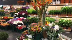 Geben sie jetzt die erste bewertung ab! Oranje Blumen Einkaufen Saarbruecken