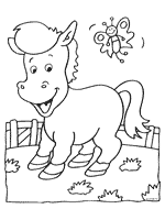 Misschien omdat het meisje wat te eten bij zich heeft. Paard