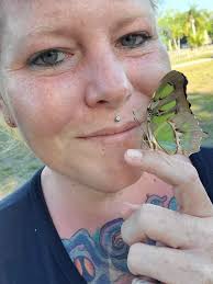 Butterflies such as blue morphos, giant owls, and malachites are  frugivorous; they come from habitats where there aren't many wildflowers  available, so feed