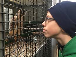 Trips — Newsletter — Great River School