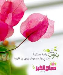 يا رب راحة وسكينة good morning images flowers good morning flowers good morning cards