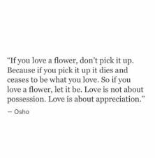 Osho — 'if you love a flower, don't pick it up.because if you pick it up it dies and it ceases to be what. Tumblr Appreciation Quotes Osho Quotes Tumblr Dogtrainingobedienceschool Com