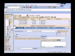 All access to common sap r3 functions manual pdf. Sap Hcm Hr Overview Youtube