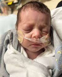 Amelia Lei Freeman Obituary December 9, 2024