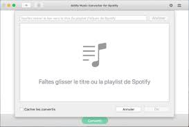 Mais google a fait comprendre qu'il voulait enlever la etape 10: Comment Convertir Spotify Music En Mp3 Sidify