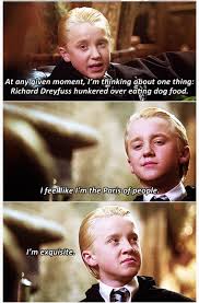 It operates in html5 canvas, so. Harry Potter Memes Draco Being Extra Wattpad