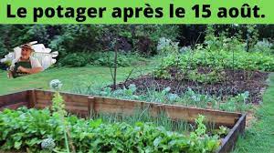 le potager apres le 15 aout au nord de la france potager culture des legumes le 15