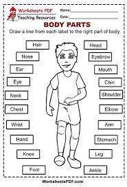 Shoulder hand elbow toe knee and feet. Body Parts Free Printables Worksheets Pdf
