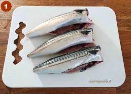 Sgombri sott olio fatti in casa. Sgombri Sott Olio Come Fare Lo Sgombro Sott Olio Il Cuore In Pentola