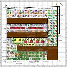 Garden Plan 2016 20 X 20 Replacing 10 X 20 Garden Planning Companion Planting Garden Companion Planting