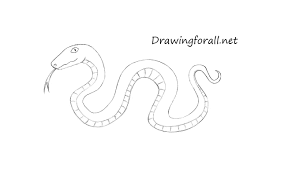What kind of food does a cobra eat? How To Draw A Cartoon Snake