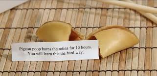 So I Opened This Fortune Cookie Misfortune Cookies Funny Fortune Cookies Fortune Cookie
