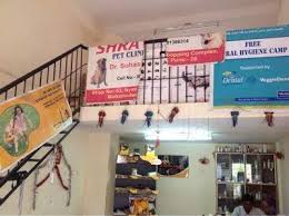 Vet care pet clinic pune maharashtra. Vet Care Pet Clinic Deccan Gymkhana Pet Clinics In Pune Justdial