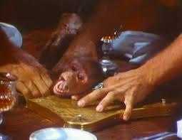 Explore in best free footage the better stock videos for free. Orgies In Human Blood Smashed Bodies After Car Crashes And Monkeys Being Clubbed To Death The True Story Behind Faces Of Death The Most Shocking Film Ever Which Was Banned In