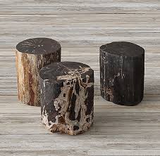 Maybe you would like to learn more about one of these? Petrified Wood Stump Dark Side Table