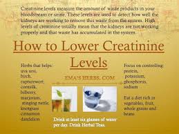 Pin By George Nielsen On Dad Kidney Disease Diet Creatinine Levels Kidney Recipes