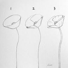 You'll be drawing basic shapes like a pro in no time! Kate Kyehyun Park On Instagram Poppy Flower Sketches Step By Step Flower Instagra Easy Flower Drawings Flower Drawing Tutorials Flower Sketches