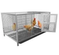 Cage à Poulets en Acier Inoxydable - Enclos Poulailler Résistante et  Antirouille - Plateau Facile à Nettoyer - 110x60x60cm