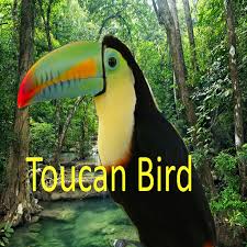 Amazon Com Jungle Animals Live Wallpaper Appstore For Android Jungle Animals Rainforest Animals Animals