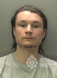 Swansea man jailed after multiple sex attacks