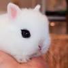 Is there a pet food program in lancaster? Https Encrypted Tbn0 Gstatic Com Images Q Tbn And9gctiqmttu9mlwxbypq1shjwjnj Tmpmmcpb4xqsyqwes Gvfsct5 Usqp Cau