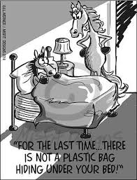 For The Last Time There Is Not A Plastic Bag Hiding Under Your Bed Horsecomic Horse People Get It Horse Jokes Funny Horses Funny Horse Memes