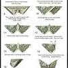 Maybe you would like to learn more about one of these? 1