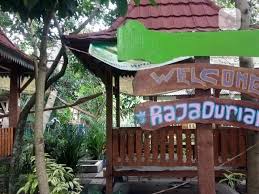 Selain dekat dari jakarta, pilihan tempat makan dan pemandangannyapun luar biasa. Ayo Makan Durian Sepanjang Tahun Regional Liputan6 Com