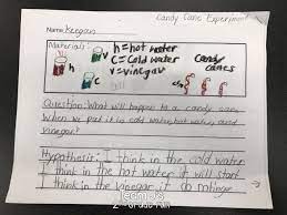 Candy Cane Science Lab Report Project Informational Writing Writing Workshop Candy Cane Experiment Writing Workshop Informational Writing