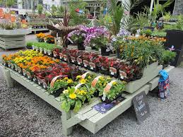 Garden Centre Display Marketing