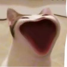Looks like curiosity has brought you here. Pop Cat Liquify 2 Bubble Boogaloo Popcat