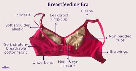 Anatomy of a Functional Nursing Bra，AI 生成