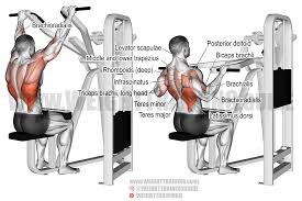 So in short, i think a lat pulldown and pull up while similar are actually quite different exercises and i think the best way to get good with pull ups is to (1) make sure. Machine Front Pull Down Instructions And Video Weight Training Guide