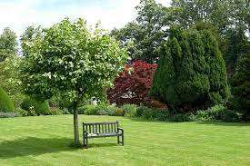Manure for the fertile minds of island gardeners. Henry S Garden Services Home Facebook