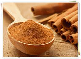 images?q=tbn:ANd9GcRLjN2Kzj_JDZ6R2oyoB1e