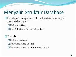 Open the database that you want to document. Memperbaiki Data Dalam Dbase Iv 1 Macammacam Perintah