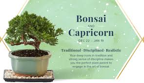 Most people who have relatives with cancer will not have inherited a faulty gene. Your Perfect Plant According To Your Zodiac Sign Proflowers